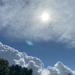 Meet your Posher, Sally